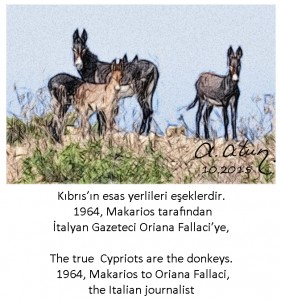 Kıbrıs'ın Esas Yerlileri eşeklerdir. The true Cypriots are the donkeys. Makarios to Fallaci,,1964.